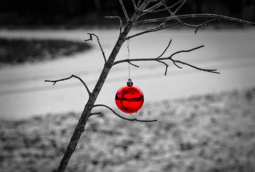 Affordable SA Three tips for managing loneliness this Christmas