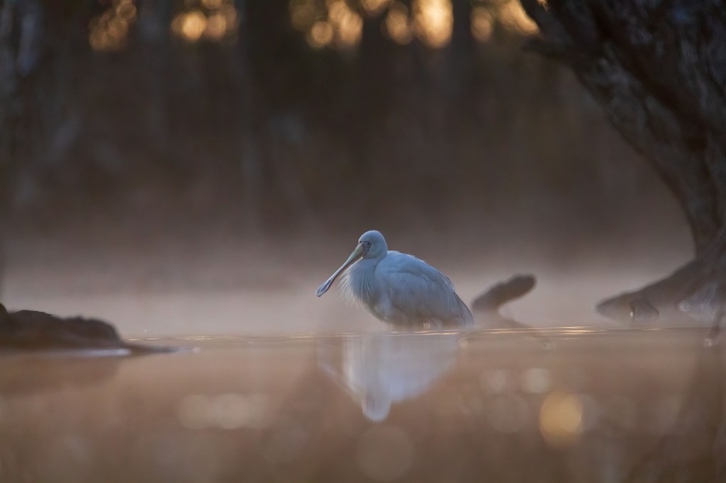 Naracoorte Uniting Church | The Lesser Known Characters of Scripture Phoebe